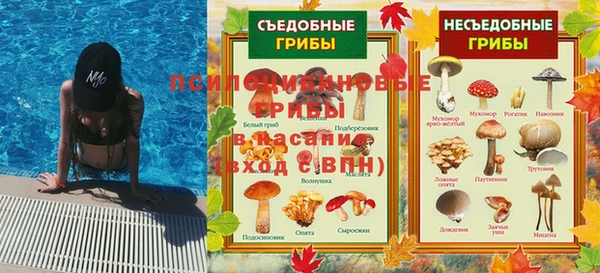 ешки Верея